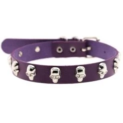 Cursed Skull Choker Necklace -Gothic Clothing Store 11 98589f6e f191 4883 b84e d2e168a0ec60