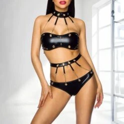 Seductive Gothic Faux Leather Lingerie Set – Strappy Panty & Bra With Choker Harness -Gothic Clothing Store 2 46ec144d 9af9 4e8d a098 666e6d558324