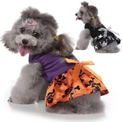 Wizard Pet Costume Dress -Gothic Clothing Store 2 d223a9ee 025f 4b01 83b2 bfb81657d2eb