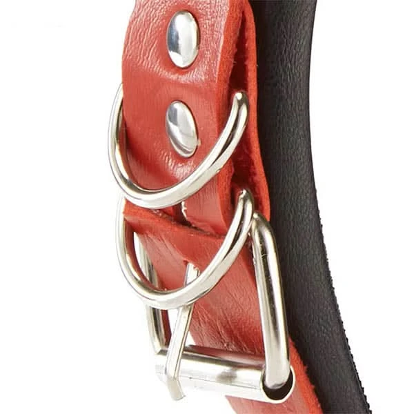 Mourning Crown Steampunk Headband 5 Mourning Crown Steampunk Headband - Image 5