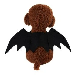 Cute Bat Wings -Gothic Clothing Store 6 42509301 782b 4b73 ab28 67b1dec9bb59