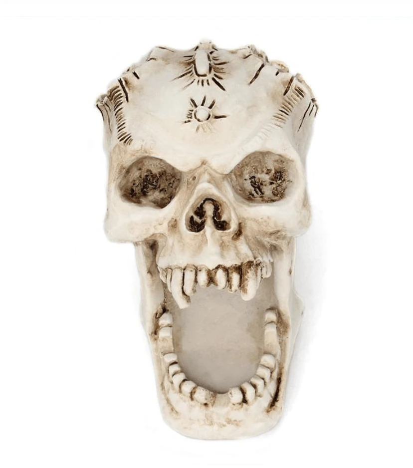 Regin Resin Skull Holder 4 Regin Resin Skull Holder - Image 4