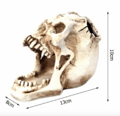 Regin Resin Skull Holder 15 Regin Resin Skull Holder -Gothic Clothing Store Screen Shot 2019 07 31 at 4.45.31 PM