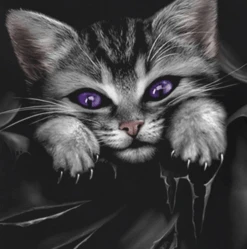 Kitty Addiction Tank Top -Gothic Clothing Store Screen Shot 2019 08 17 at 9.02.47 PM