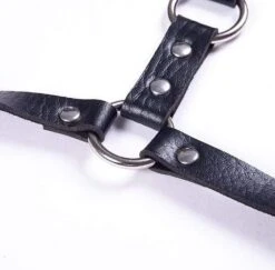 Day Taker Belt -Gothic Clothing Store Screenshot 27 49931500 1136 4728 802a 49f70c067a4a